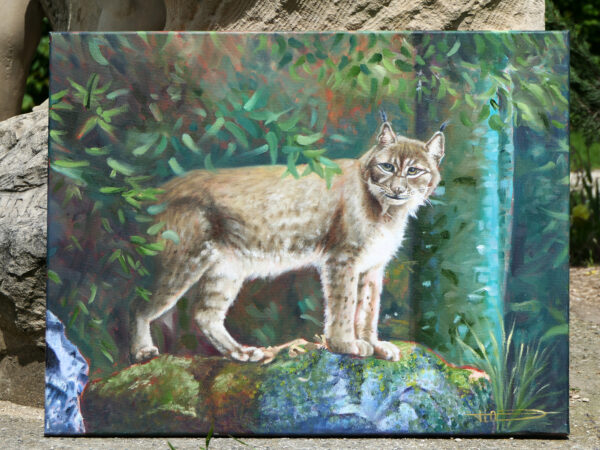 Le lynx à l'orée de la forêt – Image 3