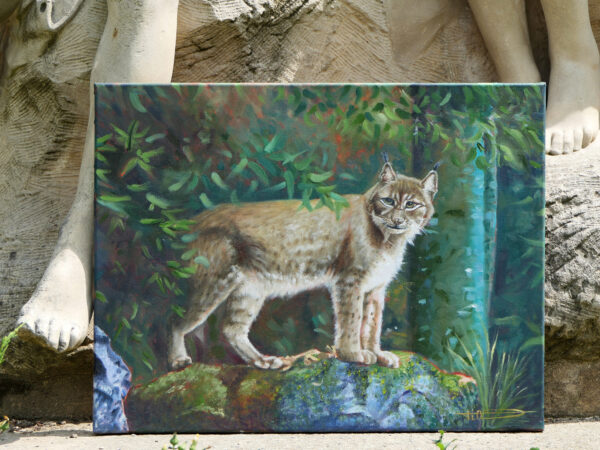 Le lynx à l'orée de la forêt – Image 4