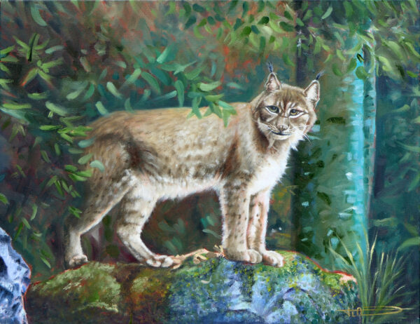 Le lynx à l'orée de la forêt